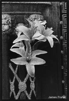 Paris_1999_3244_17