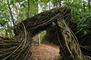 %_tempFileNameDSC_3725_Patrick_Dougherty_chamber_pp_June_14_2008%