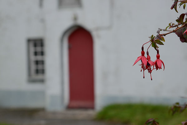 %_tempFileName31302206_DSC_0189%