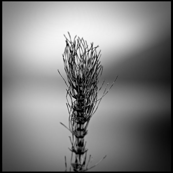 %_tempFileNameDSC_1280%20copy%
