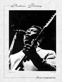 Muddy Waters poster; photograph by Raeburn Flerlage