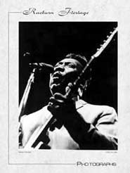 Muddy Waters poster