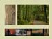 023_Bogfire portfolio_2008